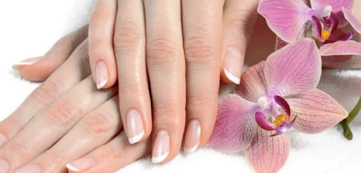 El Mantarı İbrahim Saraçoğlu Kürü