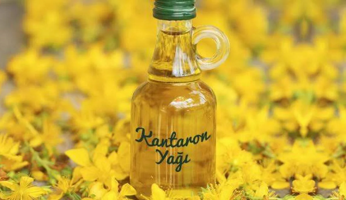 Kantaron Yağının Faydaları Nelerdir? Neye İyi Gelir?