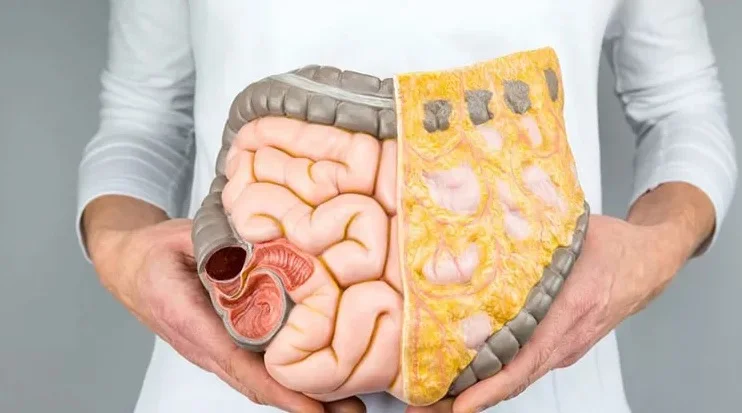 Gaps Diyeti Nedir? Nasıl Yapılır? Gaps Diyeti Listesi