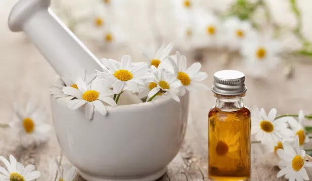 papatya yağının faydaları