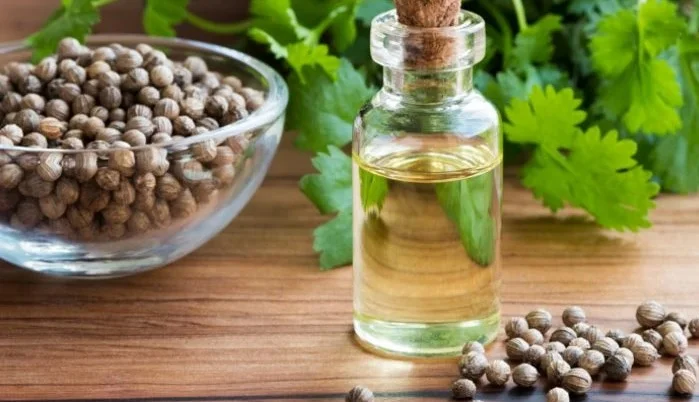 Kişniş Yağının Faydaları ve Zararları